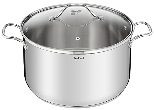 Tefal Intuition XL - Olla grande (acero inoxidable, 28 cm, 8 L, inducción, 5 años de garantía, acero inoxidable 18/10, primera calidad, talla XL, asas resistentes, tapa de cristal B8646404