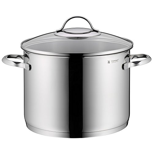 WMF Olla para sopa de verduras de inducción 24 cm, tapa de vidrio, olla grande de 8,8 l, acero inoxidable pulido Cromargan, sin recubrimiento, apta para horno